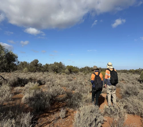 Two ecologists in high-vis vests look towards the countryside.